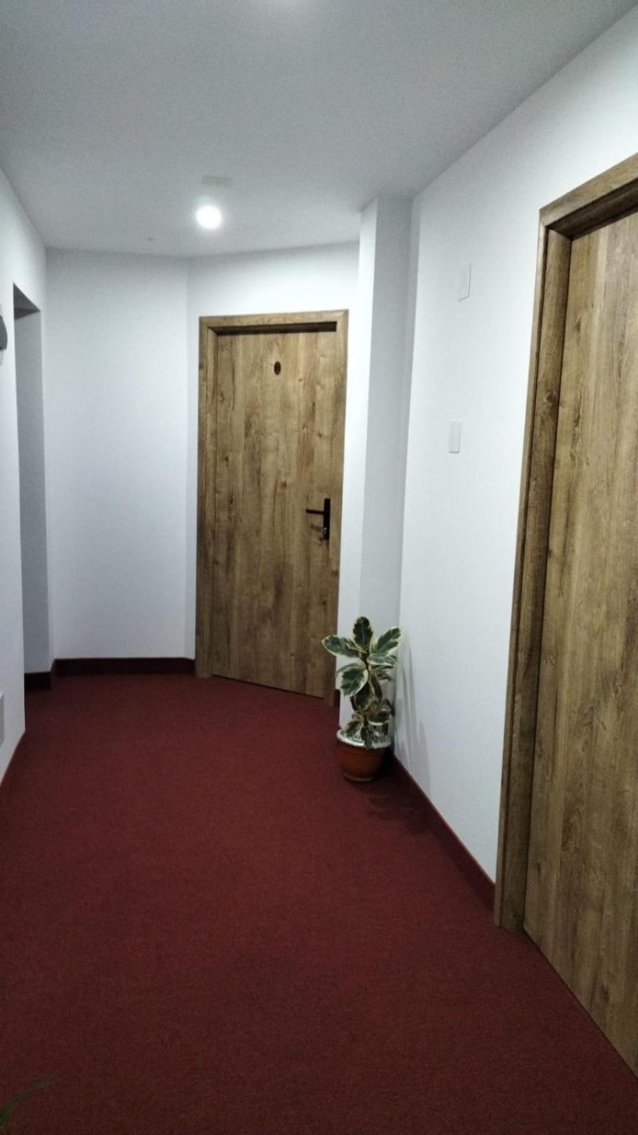 Pensiune Stirbu Borşa Dış mekan fotoğraf