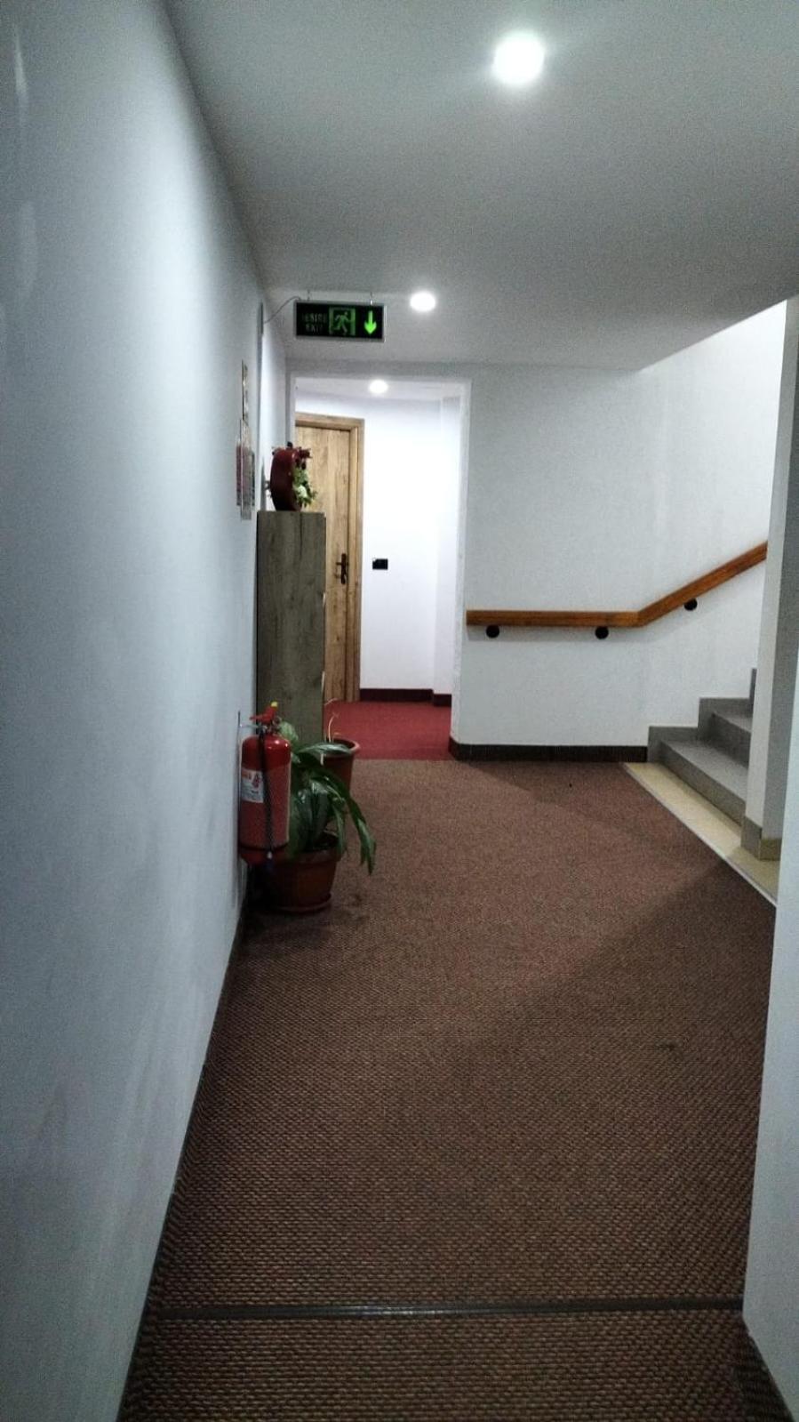 Pensiune Stirbu Borşa Dış mekan fotoğraf