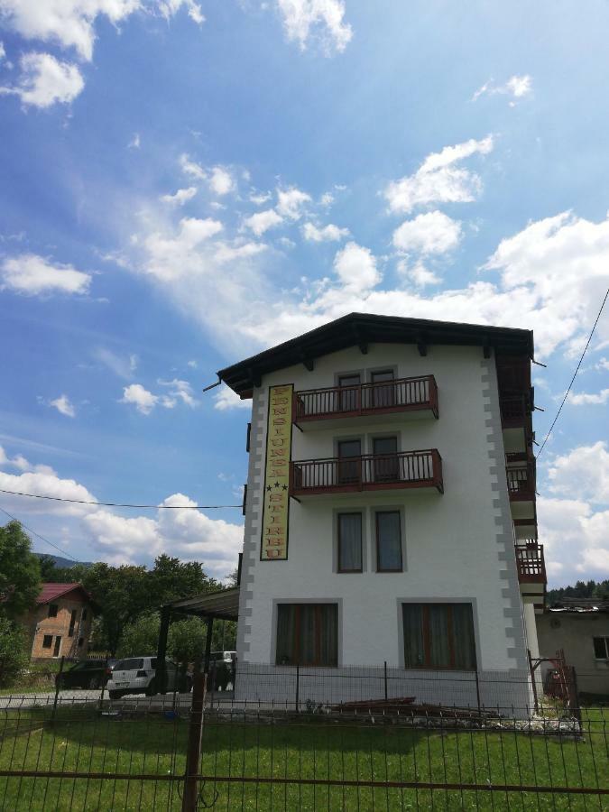 Pensiune Stirbu Borşa Dış mekan fotoğraf